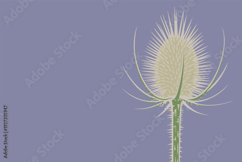 Detailed illustration of a thistle flower with spiky stem and petals, botanical illustration concept