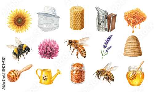 Watercolor beekeeping and honey harvest illustration