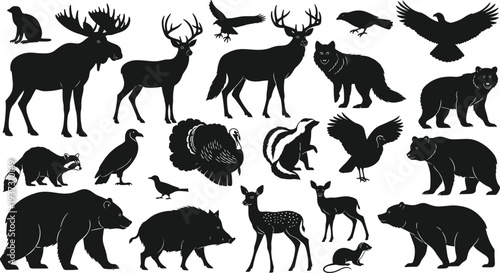 Photography Wild animals and birds silhouette set collection cad drawing flat vector illustration for forest nature wildlife and zoo design projects