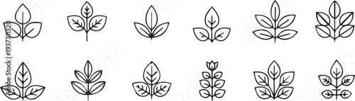 Collection of nine unique floral designs with leaves and stems