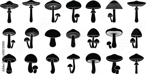 Mushroom silhouette set, forest fungus vector collection, black toadstool icons isolated on white background, cad drawing flat vector illustration elements