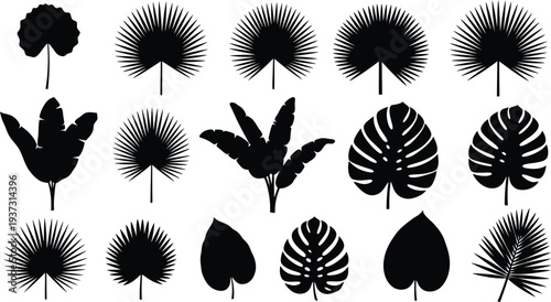 Collection of tropical leaf silhouettes
