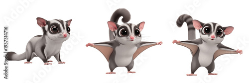 Three Cute Sugar Glider Characters with Large Eyes and Gliding Membranes Isolated on White Background PNG for Kids Australian Wildlife Animal Illustration Design