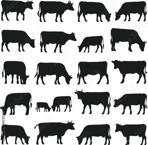 Cow silhouettes vector set, cattle farm animal collection, black dairy cows grazing standing icons, livestock illustration isolated