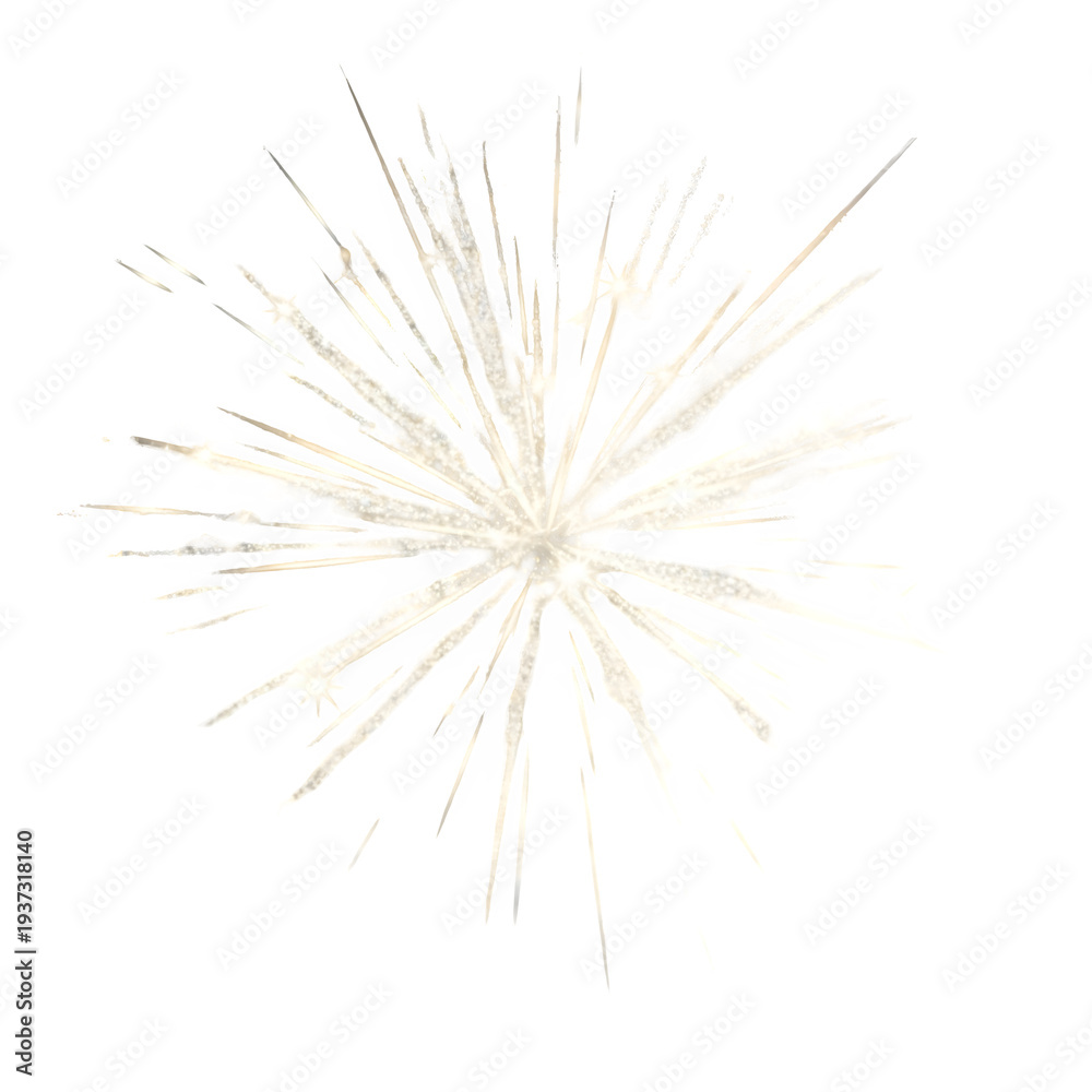 Obraz premium Sparkling firework explosive light on black background