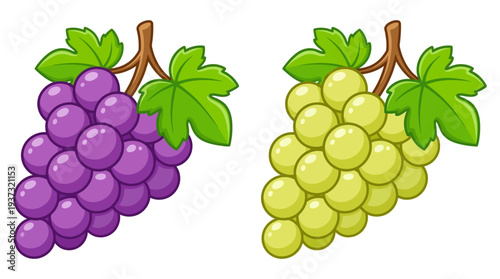 A vibrant depiction of two bunches of ripe grapes, one purple and the other green, showcasing a luscious fruit