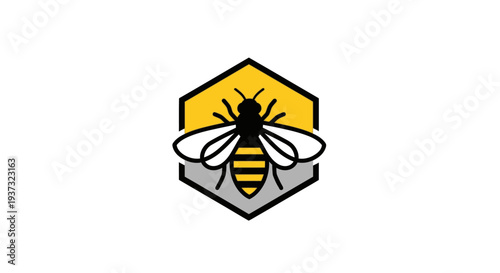 Stylized Bee Outline within a Geometric Hexagonal Frame on an Isolated White Background