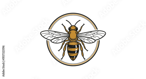 Detailed Honey Bee Design within a Decorative Circular Frame on an Isolated White Background