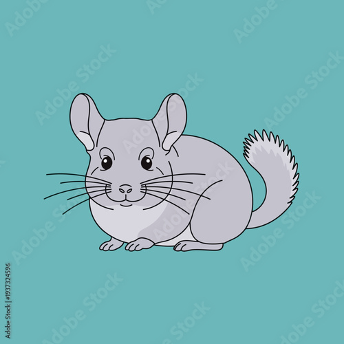 Cartoon illustration of a gray chinchilla with large ears and bushy tail.