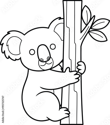 Koala bear clinging to a tree isolated on transparent background