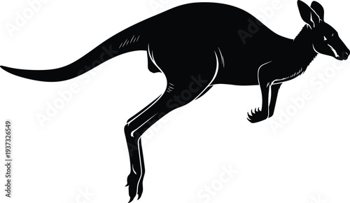 Jumping kangaroo black silhouette, Australian wildlife animal vector illustration isolated on white background, wild marsupial hopping side view