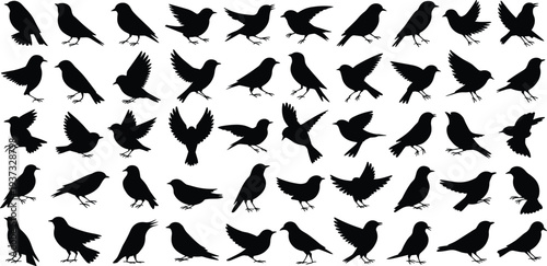 Assortment of black bird silhouettes showcasing different species and actions Keywords: bird, silhouette, flying, perched