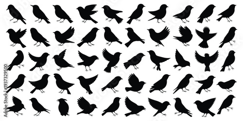 Collection of black bird silhouettes in various poses and species Keywords: bird, silhouette, flying, perched, standing, wings