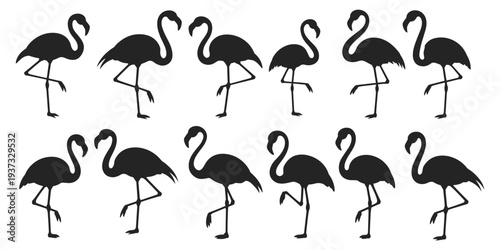 Collection of Black Flamingo Silhouettes Standing on One Leg bird animal