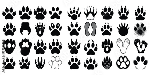 Collection of Diverse Animal Paw Print Silhouettes on White Background Keywords: paw print, animal tracks, dog paw, cat paw, bear