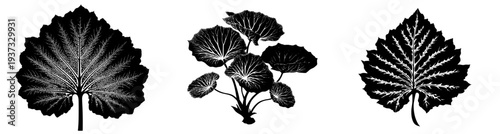 Silhouetted Nature's Palette: A Black and White Tree of Life