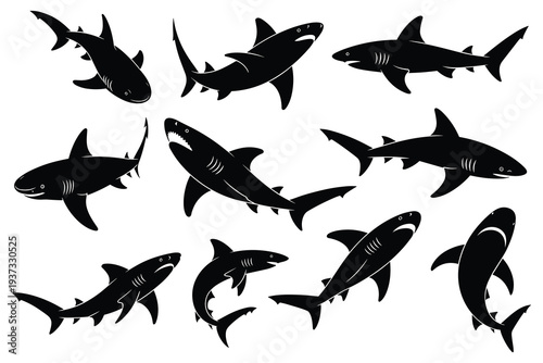Eleven Black Shark Silhouettes with Detailed Fins and Tails on White animal ocean