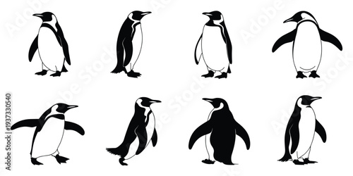 Eight Black And White Penguin Silhouettes In Various Poses On White Background penguins animal