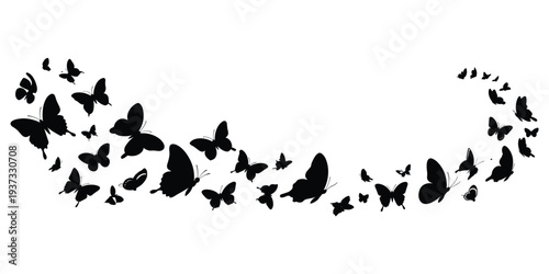 Flowing Black Butterfly Silhouettes Creating a Wavy Border on White butterflies swarm