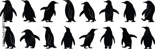 Fourteen Black Penguin Silhouettes In Different Poses On White Background penguins animal