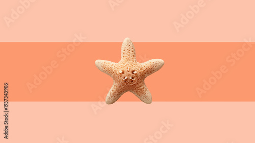 A close-up view of a five-pointed starfish on a muted coral and light peach background