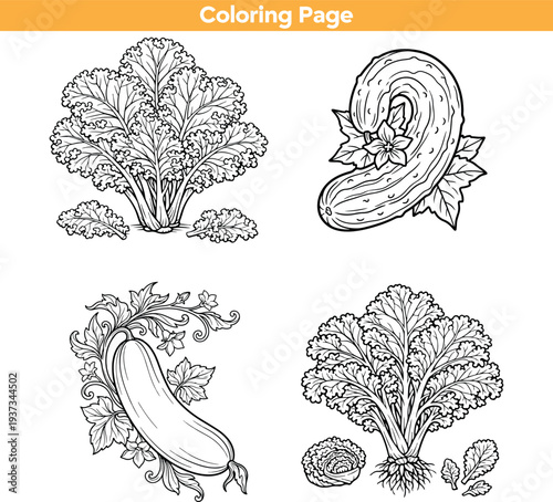 Vegetable coloring page bundle with kale and cucumber for kids and adults, linear vector art design.