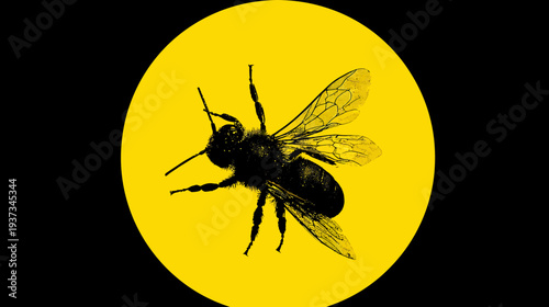 A black insect silhouette with detailed wings is centered within a yellow circle on a black background
