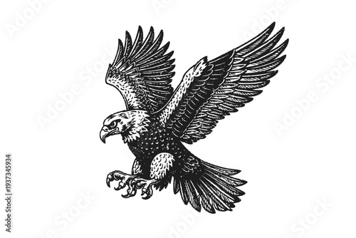 Vintage black and white illustration of a majestic eagle in powerful flight, wings spread wide, talons extended, embodying freedom, strength, and classic symbolism in a timeless, commanding design sty