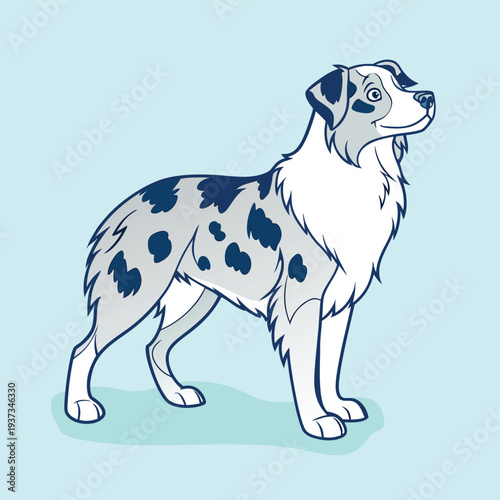 Cute blue merle australian shepherd dog illustration