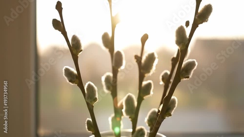 illow branches with fluffy buds in a glass jar on a windowsill against a blurred sunset background with warm light leaks. Concept of spring awakening and easter mood