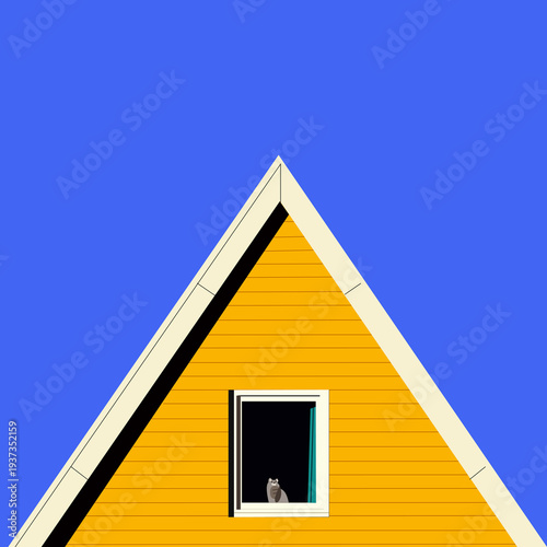 roof of a house with a cat