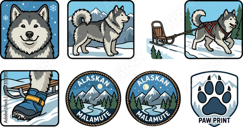 Flat design alaskan malamute vector set close up head full body pulling sled paw print and mountain badge icons winter