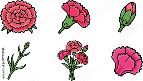 Flat design colorful carnation icons showing full bloom bud stem bouquet close up bright pink petals green leaves vector illustration
