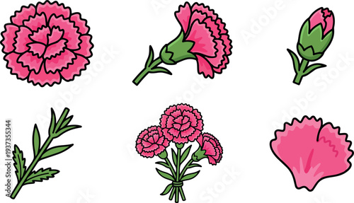 Flat design close up pink carnation bud petal stem leaf and small bouquet in playful outlined vector style collection