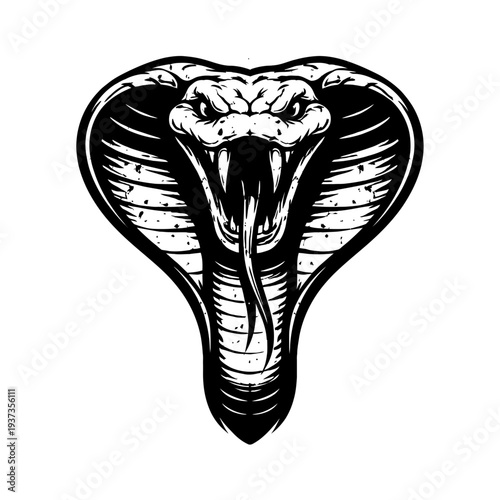 Menacing cobra illustration with sharp fangs and aggressive posture, symbolizing danger and power