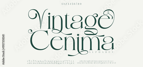 Vintage Cenima Elegant alphabet letters font logo. Typography luxury classic lettering serif italic fonts decorative wedding vintage retro logos. vector illustration