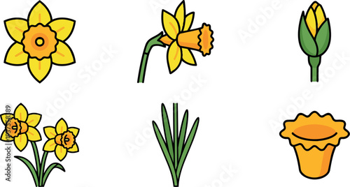 Flat design colorful daffodil icon set six views close up single bloom bud stem leaves simple line art spring yellow