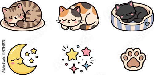 Kawaii flat vector sleeping cat trio curled calico tabby black cat in beds with moon and stars soft pastel lighting