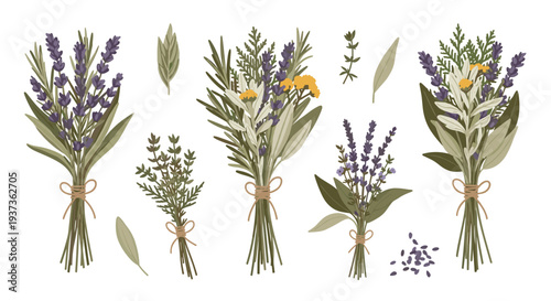 Five distinct bouquets of fragrant lavender and various aromatic herbs are displayed with loose leaves and scattered seeds on a clean white background.