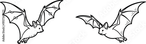Two bats flying in the air