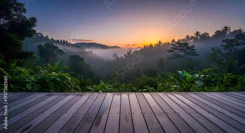 Misty jungle valley sunrise over lush green canopy with wooden deck foreground serene tropical landscape