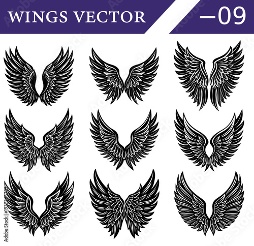 Collection of nine distinct black and white of feathered angel or bird wings in various symmetrical arrangements and styles on a white background Keywords: wings, angel wings, bird wings, feather