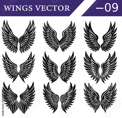 Collection of nine distinct black and white of feathered angel or bird wings in various symmetrical arrangements and styles on a white background Keywords: wings, angel wings, bird wings, feather