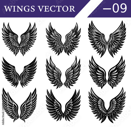 Collection of nine distinct black and white of feathered angel or bird wings in various symmetrical arrangements and styles on a white background Keywords: wings, angel wings, bird wings, feather
