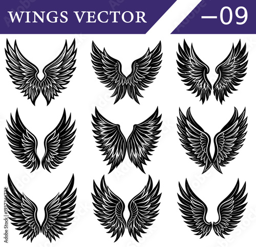 A compilation of nine distinct black and white of feathered wings, displayed in a three by three grid, each wing exhibiting unique feather textures and symmetrical arrangements for use