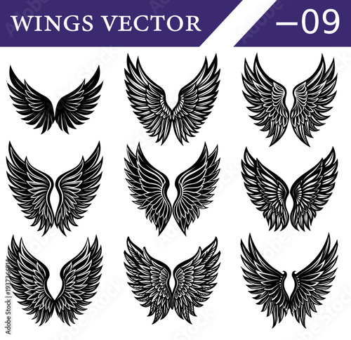 A compilation of nine unique black and white of feathered wings presented in symmetrical arrangements for purposes Keywords: wings, black, white, feathered, emblem, symbol, angel, bird, eagle