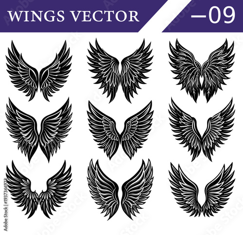 Nine detailed black and white of feathered wings displayed in a three by three grid format each featuring unique feather textures and symmetrical and decorative purposes Keywords: wings, black