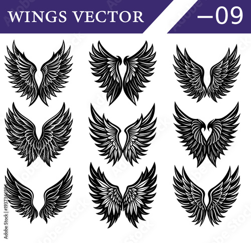 Collection of nine distinct black and white of feathered wings arranged in a three by three grid each with unique feather detailing and symmetrical Keywords: wings, black, white, feathers