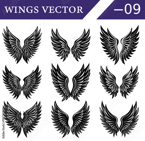A curated selection of nine unique black and white wing presented in a three by three grid format on a clean white background, highlighting the intricate feather patterns and diverse stylistic