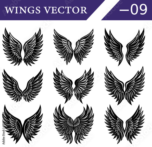 A compilation of nine distinct black and white of feathered wings, arranged in a three by three grid on a white background, emphasizing the detailed feather textures, symmetrical and varied